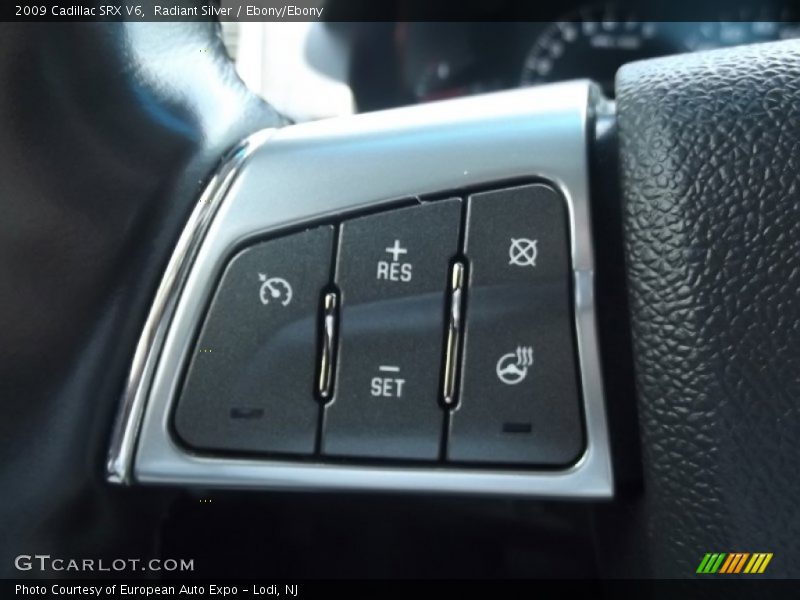 Radiant Silver / Ebony/Ebony 2009 Cadillac SRX V6