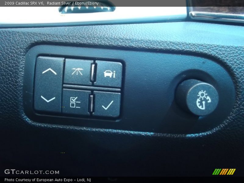 Radiant Silver / Ebony/Ebony 2009 Cadillac SRX V6