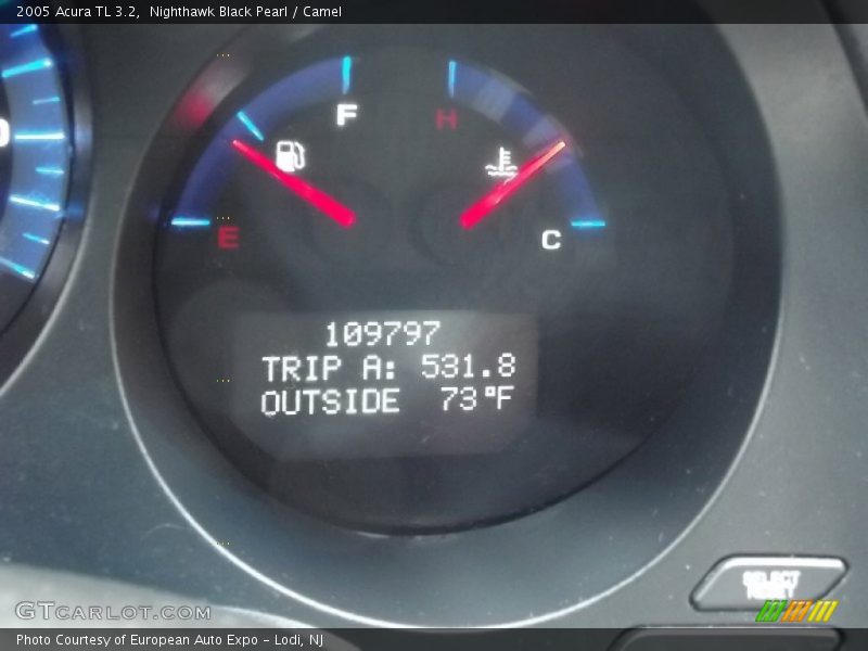 Nighthawk Black Pearl / Camel 2005 Acura TL 3.2