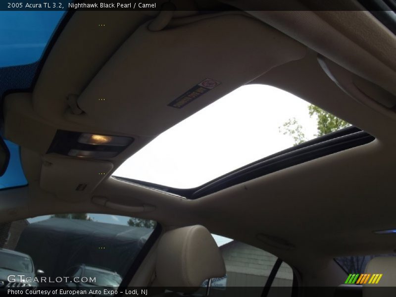 Nighthawk Black Pearl / Camel 2005 Acura TL 3.2