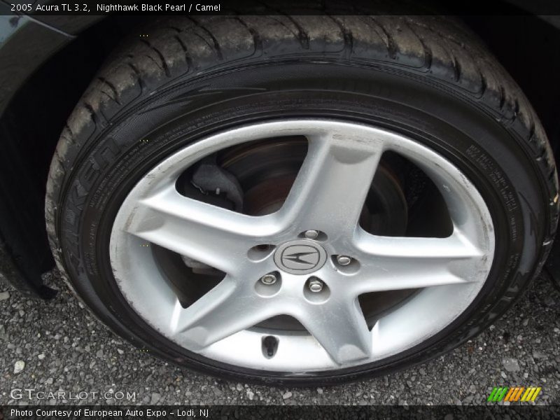 Nighthawk Black Pearl / Camel 2005 Acura TL 3.2