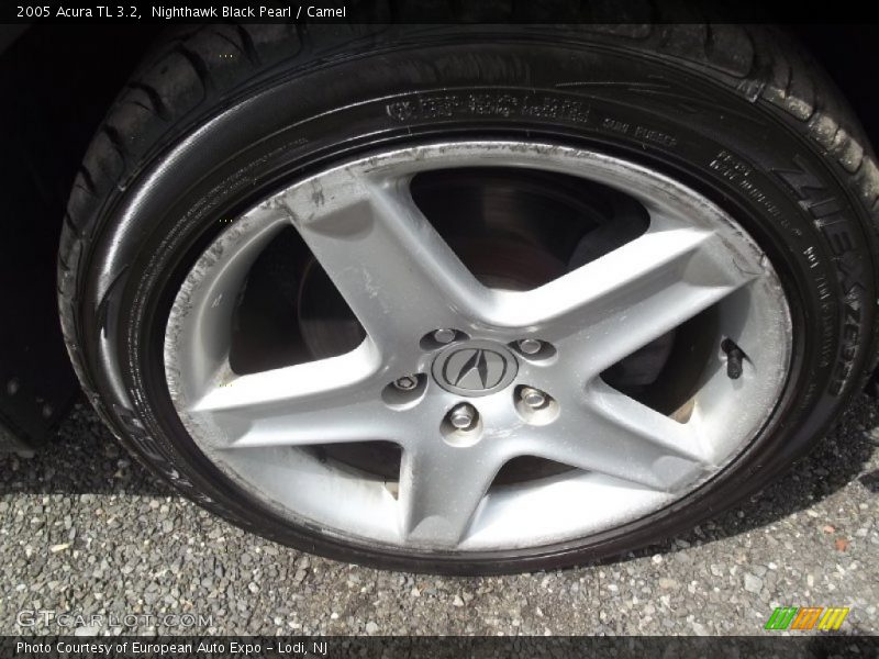 Nighthawk Black Pearl / Camel 2005 Acura TL 3.2