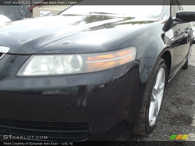 Nighthawk Black Pearl / Camel 2005 Acura TL 3.2