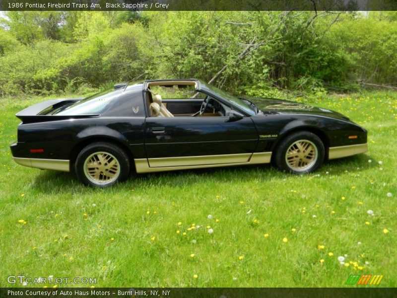  1986 Firebird Trans Am Black Sapphire