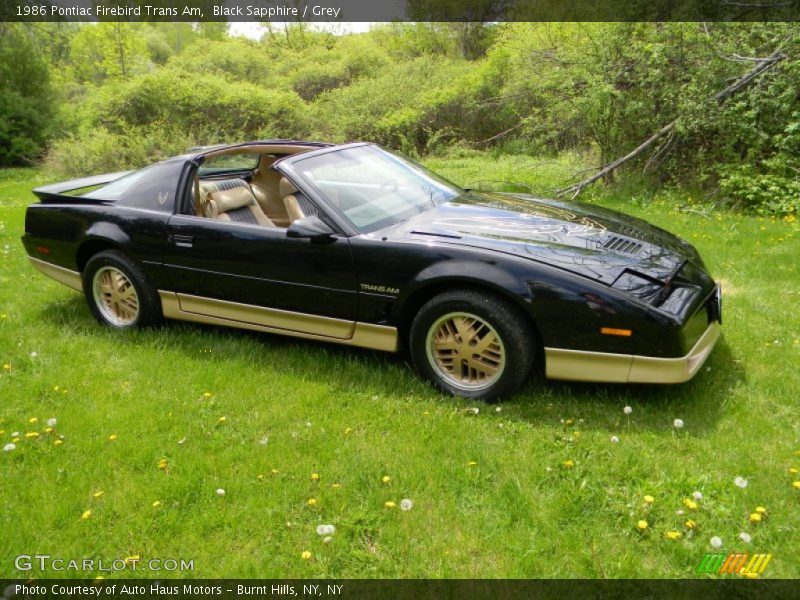  1986 Firebird Trans Am Black Sapphire