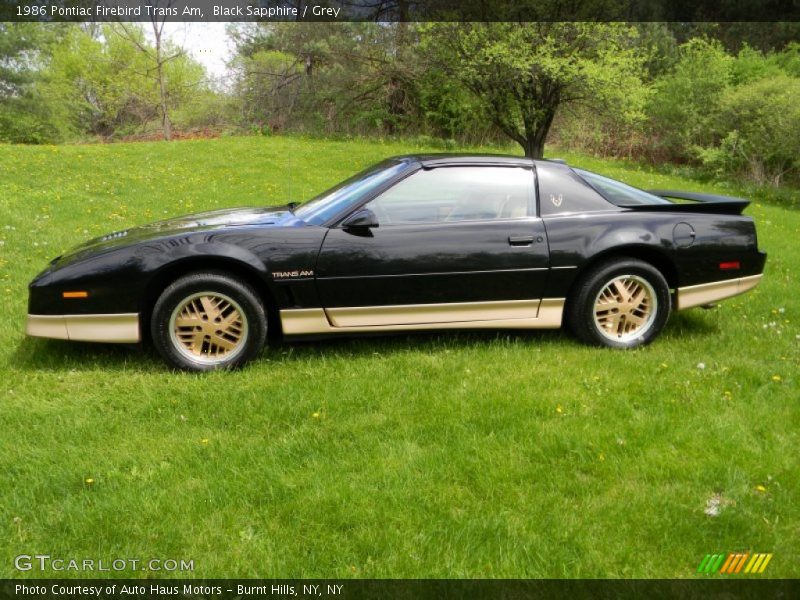  1986 Firebird Trans Am Black Sapphire