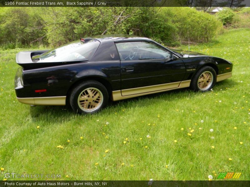  1986 Firebird Trans Am Black Sapphire