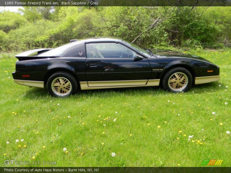 1986 Firebird Trans Am Black Sapphire