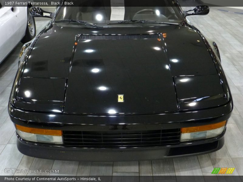 Black / Black 1987 Ferrari Testarossa
