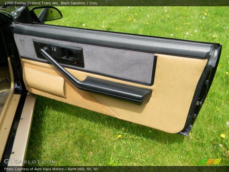 Door Panel of 1986 Firebird Trans Am