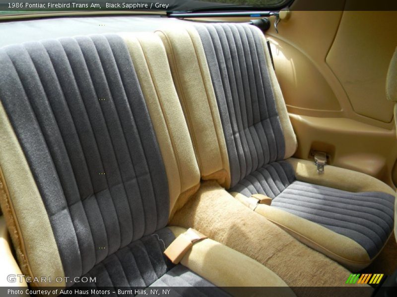 Rear Seat of 1986 Firebird Trans Am