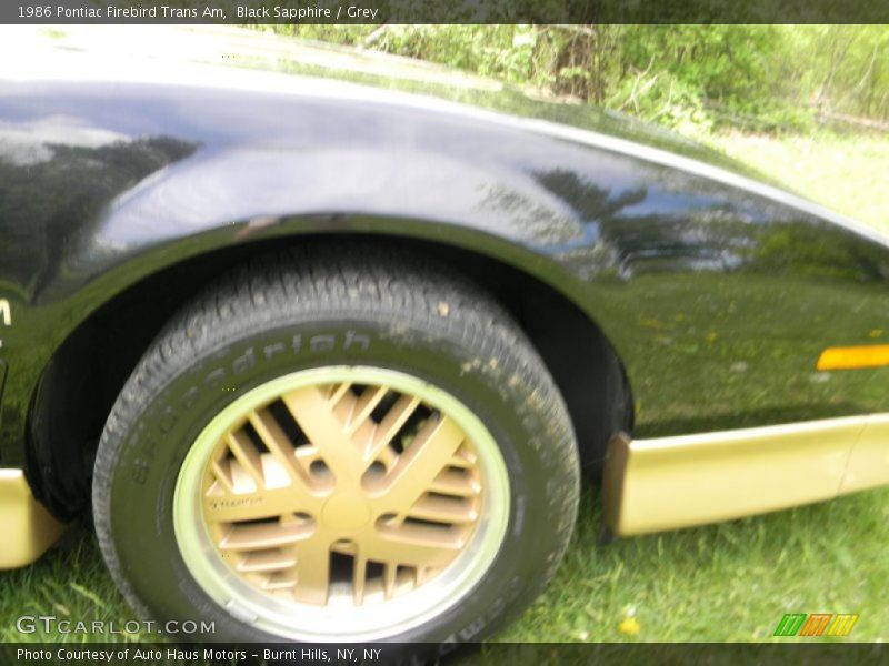 Black Sapphire / Grey 1986 Pontiac Firebird Trans Am