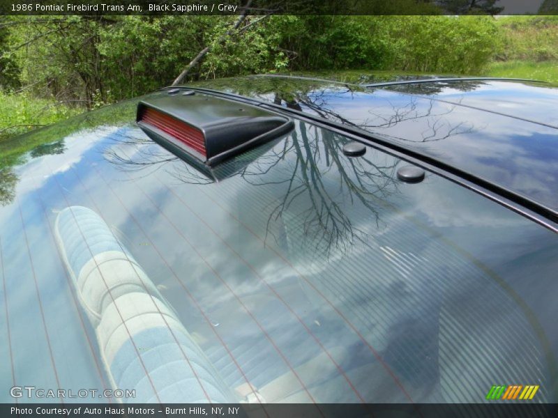 Black Sapphire / Grey 1986 Pontiac Firebird Trans Am