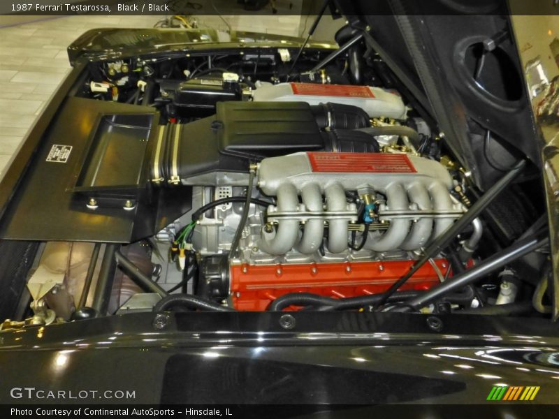  1987 Testarossa  Engine - 4.9 Liter DOHC 48-Valve Flat 12 Cylinder