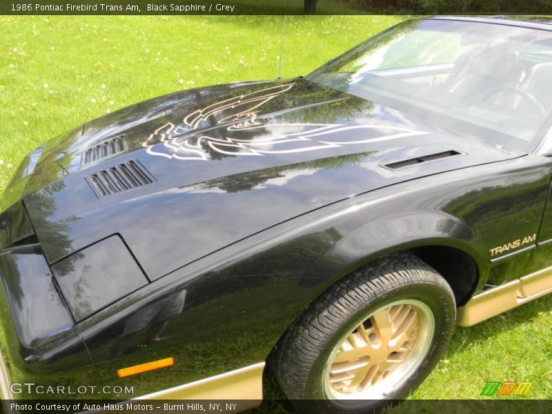  1986 Firebird Trans Am Logo