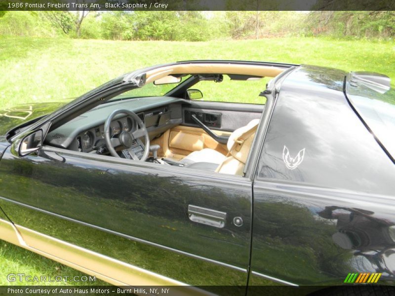 Black Sapphire / Grey 1986 Pontiac Firebird Trans Am