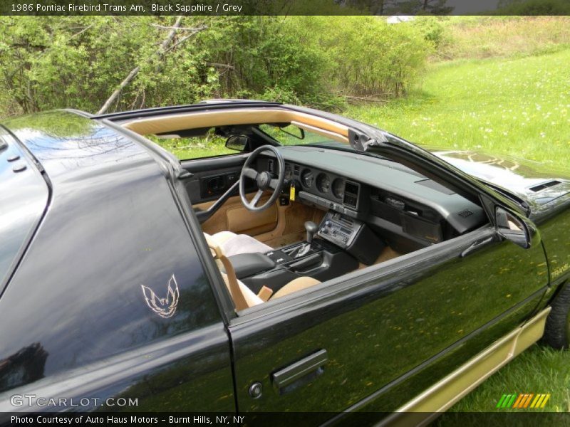 Black Sapphire / Grey 1986 Pontiac Firebird Trans Am