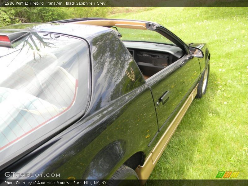 Black Sapphire / Grey 1986 Pontiac Firebird Trans Am