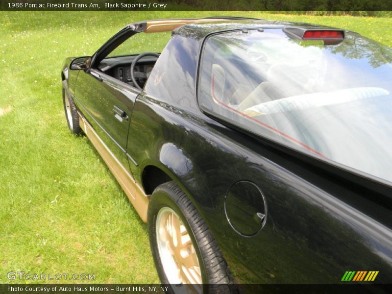 Black Sapphire / Grey 1986 Pontiac Firebird Trans Am