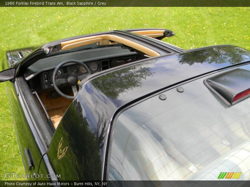 Black Sapphire / Grey 1986 Pontiac Firebird Trans Am