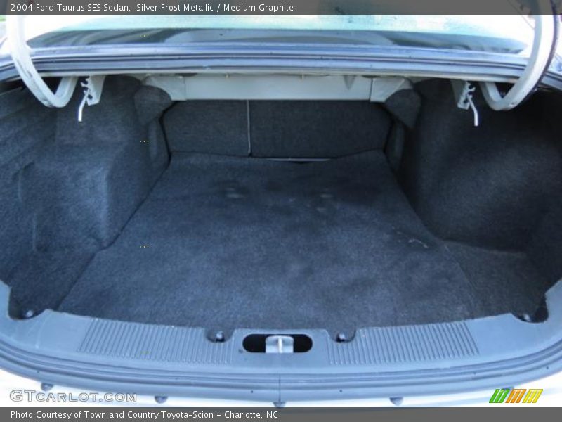 Silver Frost Metallic / Medium Graphite 2004 Ford Taurus SES Sedan
