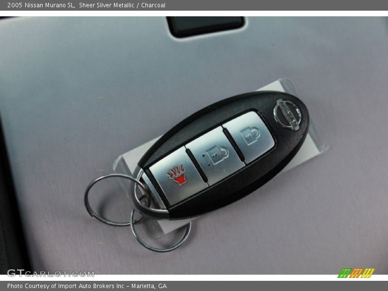 Sheer Silver Metallic / Charcoal 2005 Nissan Murano SL