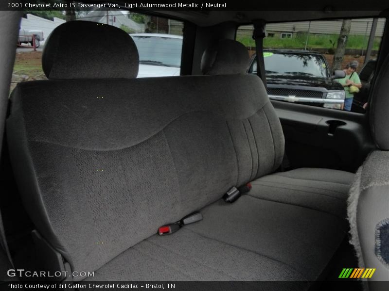 Light Autumnwood Metallic / Neutral 2001 Chevrolet Astro LS Passenger Van