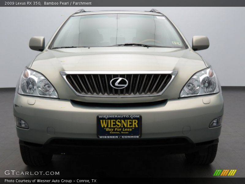 Bamboo Pearl / Parchment 2009 Lexus RX 350