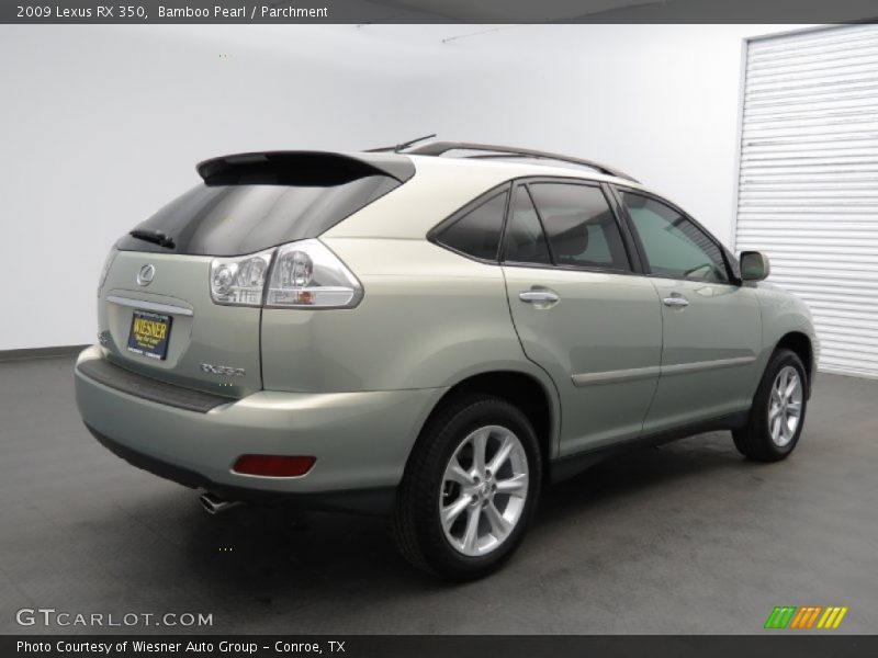 Bamboo Pearl / Parchment 2009 Lexus RX 350