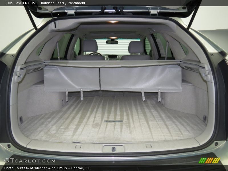 Bamboo Pearl / Parchment 2009 Lexus RX 350