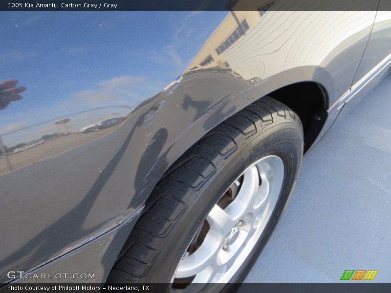 Carbon Gray / Gray 2005 Kia Amanti