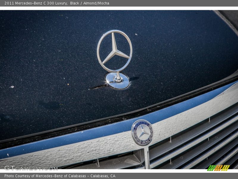 Black / Almond/Mocha 2011 Mercedes-Benz C 300 Luxury