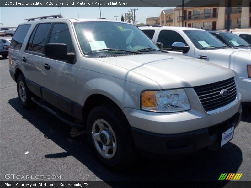 Silver Birch Metallic / Medium Flint Grey 2006 Ford Expedition XLS
