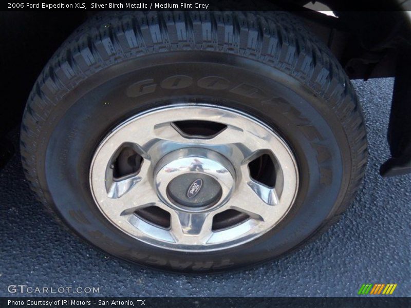 Silver Birch Metallic / Medium Flint Grey 2006 Ford Expedition XLS