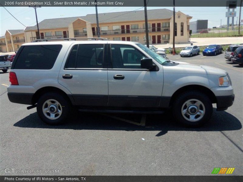 Silver Birch Metallic / Medium Flint Grey 2006 Ford Expedition XLS