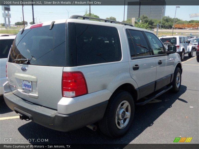 Silver Birch Metallic / Medium Flint Grey 2006 Ford Expedition XLS