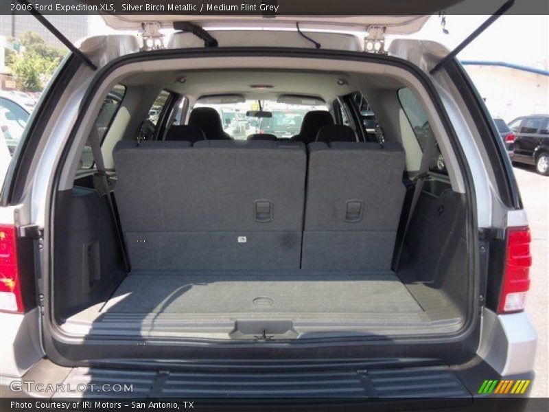 Silver Birch Metallic / Medium Flint Grey 2006 Ford Expedition XLS