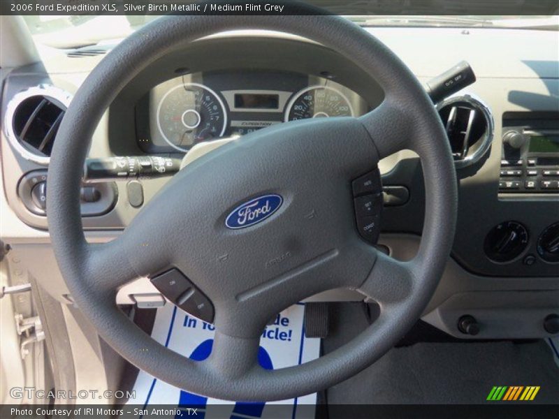 Silver Birch Metallic / Medium Flint Grey 2006 Ford Expedition XLS