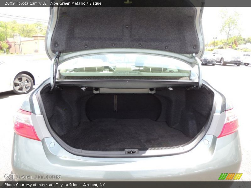 Aloe Green Metallic / Bisque 2009 Toyota Camry LE
