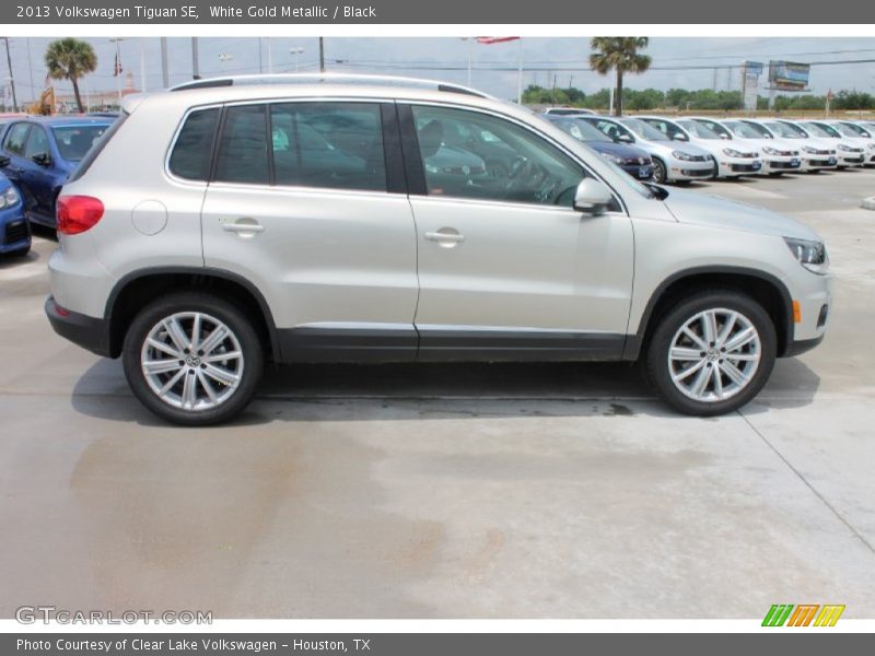 White Gold Metallic / Black 2013 Volkswagen Tiguan SE