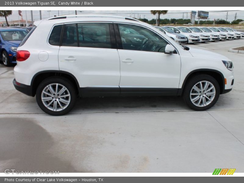 Candy White / Black 2013 Volkswagen Tiguan SE