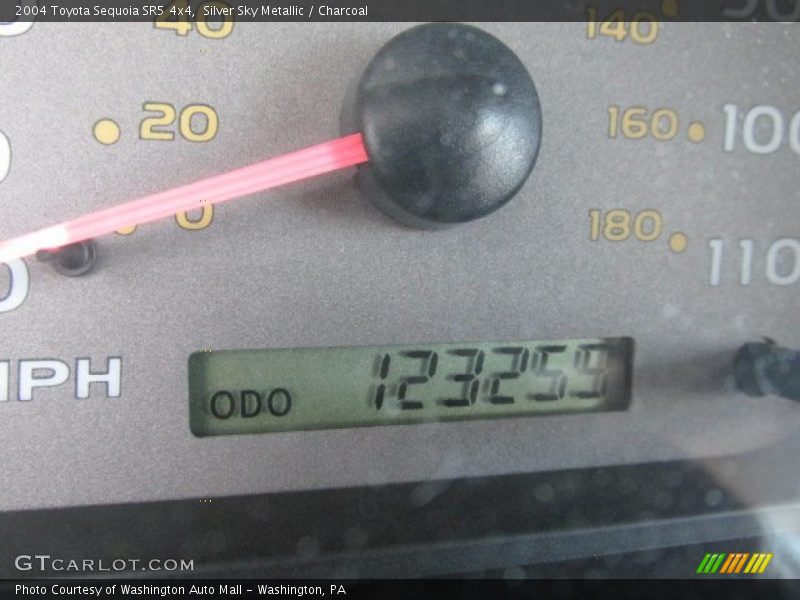 Silver Sky Metallic / Charcoal 2004 Toyota Sequoia SR5 4x4