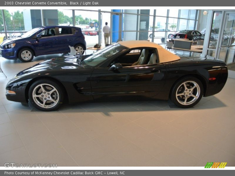 Black / Light Oak 2003 Chevrolet Corvette Convertible