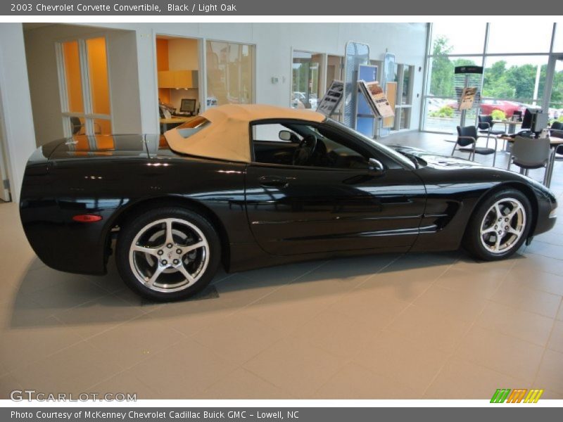 Black / Light Oak 2003 Chevrolet Corvette Convertible