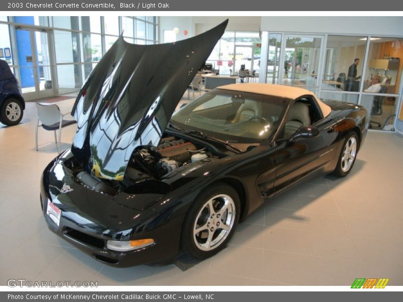 Black / Light Oak 2003 Chevrolet Corvette Convertible