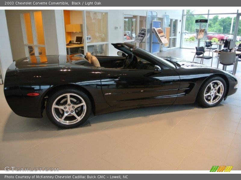 Black / Light Oak 2003 Chevrolet Corvette Convertible