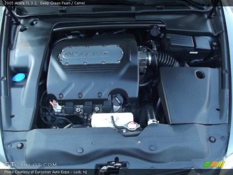 Deep Green Pearl / Camel 2005 Acura TL 3.2