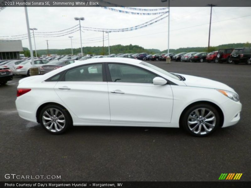 Shimmering White / Black 2013 Hyundai Sonata SE