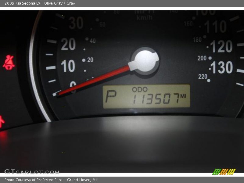 Olive Gray / Gray 2009 Kia Sedona LX