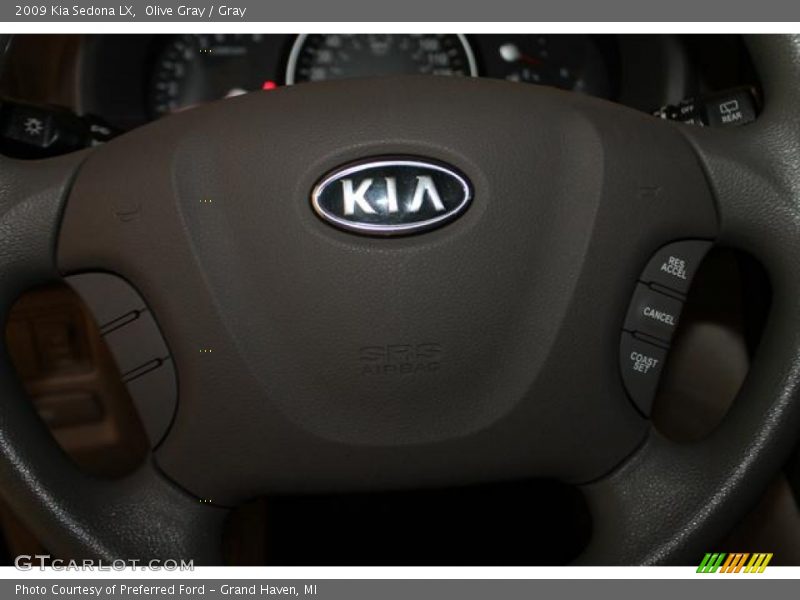 Olive Gray / Gray 2009 Kia Sedona LX